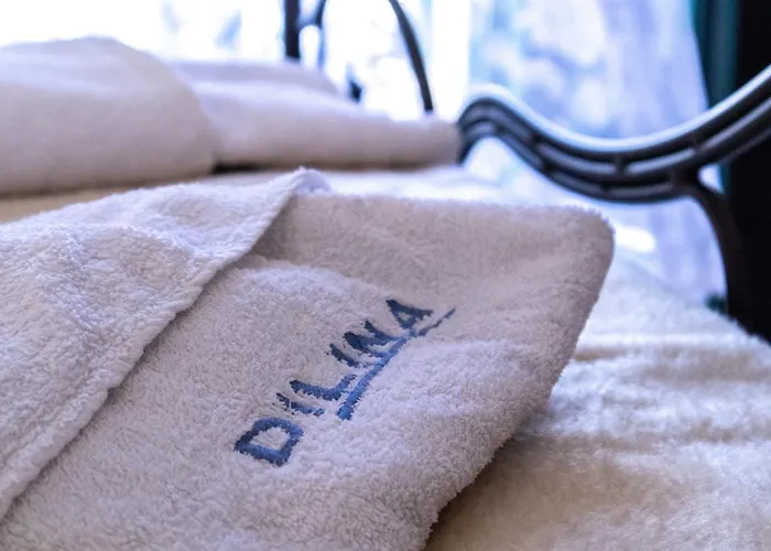 Dilina Apart Otel Arkasa